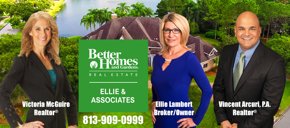 tampa real estate